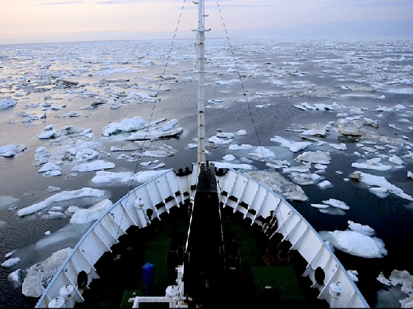 Megafon freezes Arctic Connect submarine cable project 