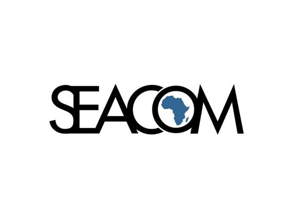 Seacom-BT alliance targets African enterprise cybersecurity market