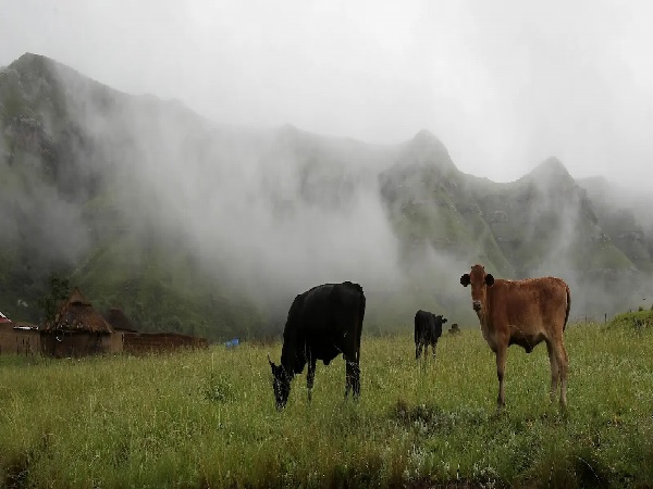 Vodacom South Africa invests in Eastern Cape expansion