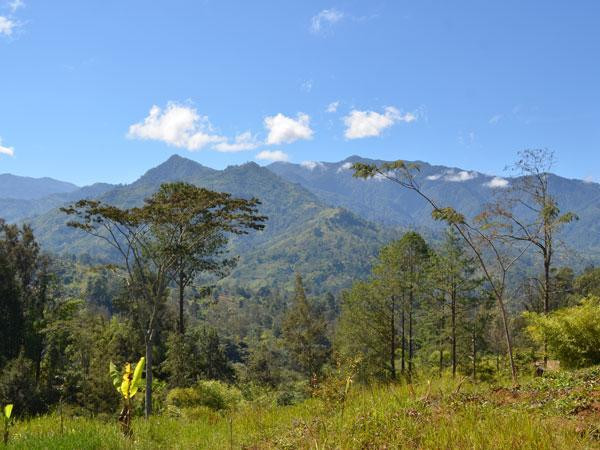 Digicel execs leave PNG following tax demand