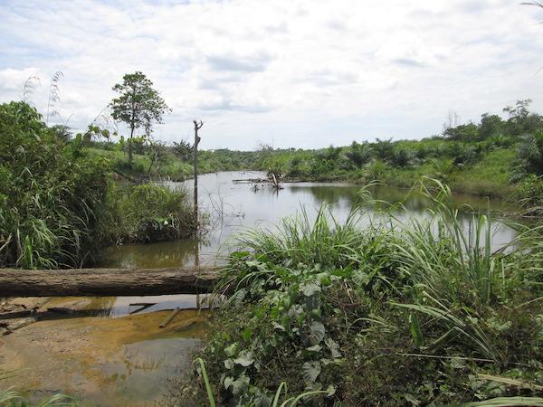 ST Engineering iDirect to expand satcomms connectivity in Indonesia