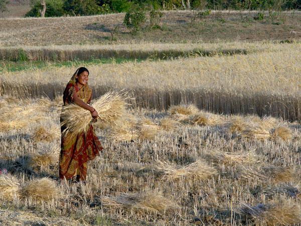 India considers hydrogen-based approach to telecom power supply