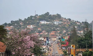 Bayobab interconnects Uganda and Kenya with new fibre route